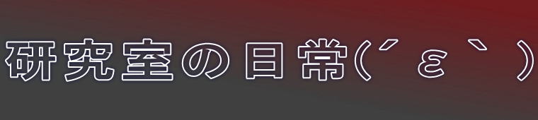 �������̓���